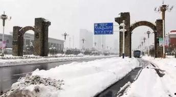 石家庄爆料下雪事件最新,城市交通受阻,市民生活受影响 第3张 石家庄爆料下雪事件最新,城市交通受阻,市民生活受影响 第3张