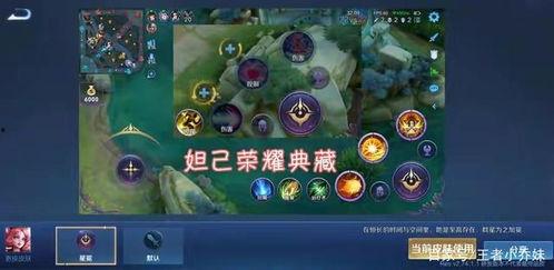 典藏皮肤最新爆料星元,典藏皮肤全新爆料揭秘！  第2张