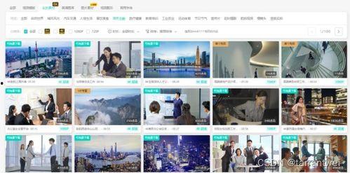爆料视频素材从哪里找到,爆料视频背后的故事 第2张 爆料视频素材从哪里找到,爆料视频背后的故事 第2张
