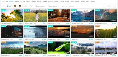 热点爆料 视频素材网站,视频素材网站深度解析