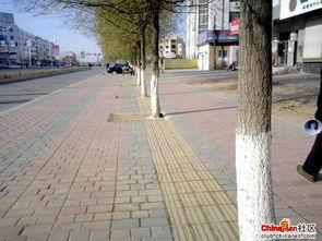 盲道在线观看,在线揭秘无障碍出行之路 第1张 盲道在线观看,在线揭秘无障碍出行之路 第1张