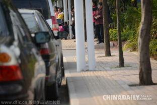 盲道在线观看,在线揭秘无障碍出行之路 第2张 盲道在线观看,在线揭秘无障碍出行之路 第2张